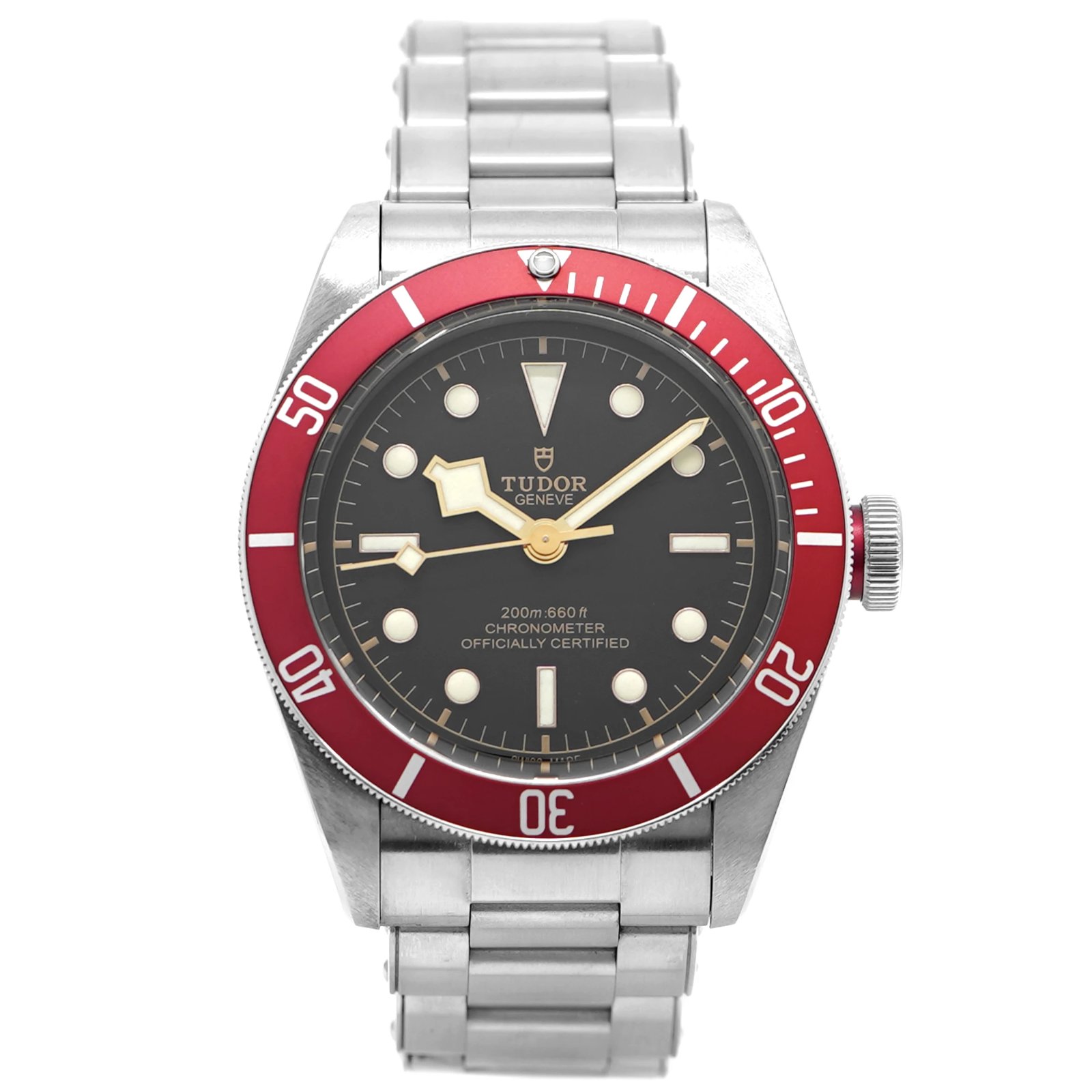 Tudor Black Bay