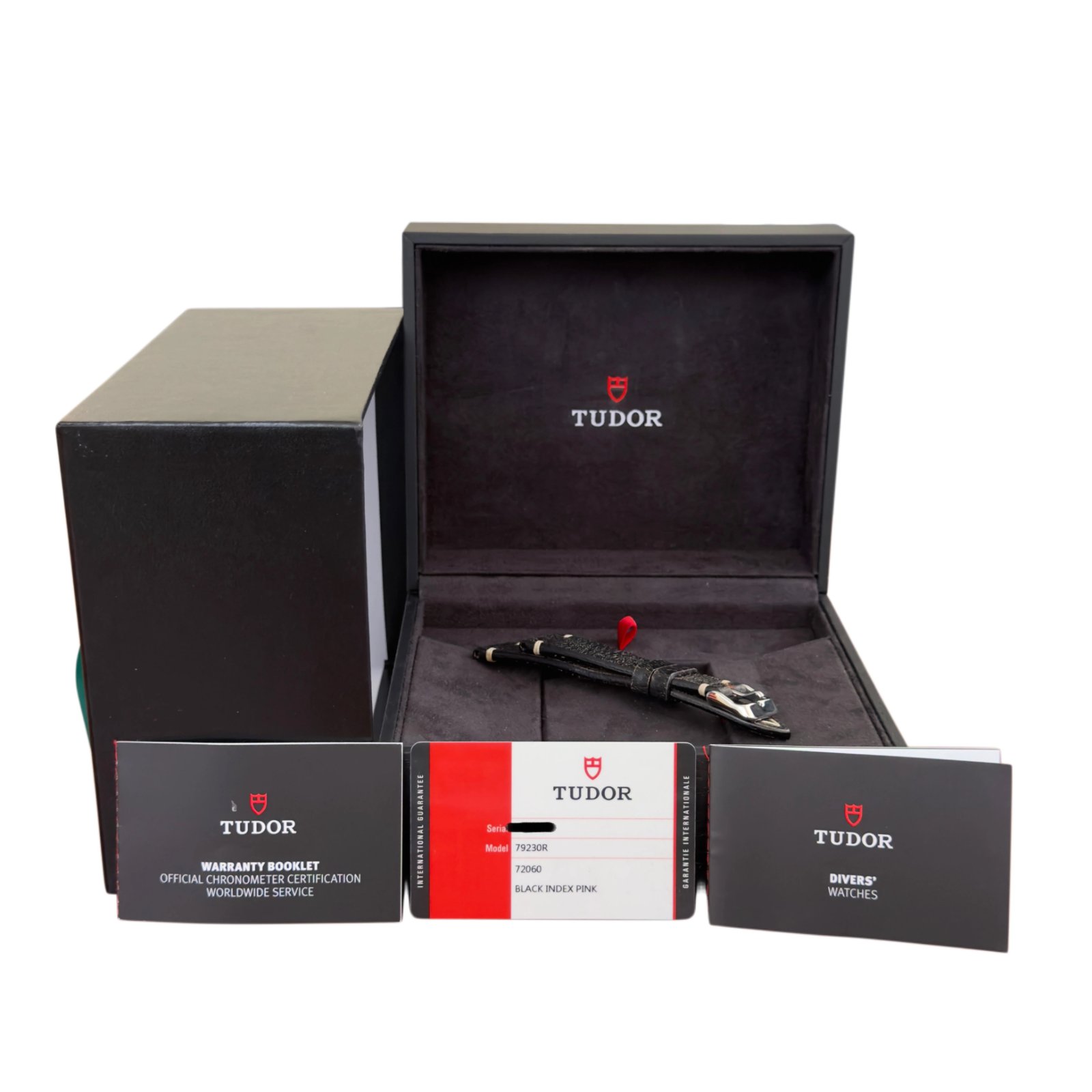 Tudor Black Bay